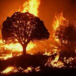 Burnout_ops_on_Mangum_Fire_McCall_Smokejumpers